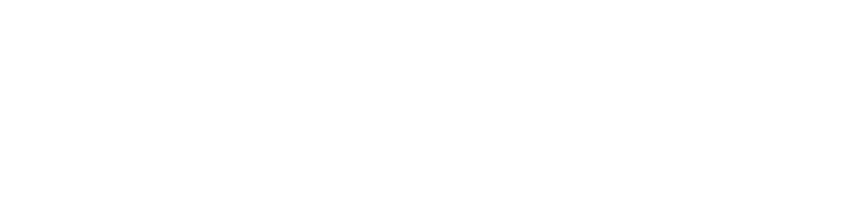 VeriFinans Logo